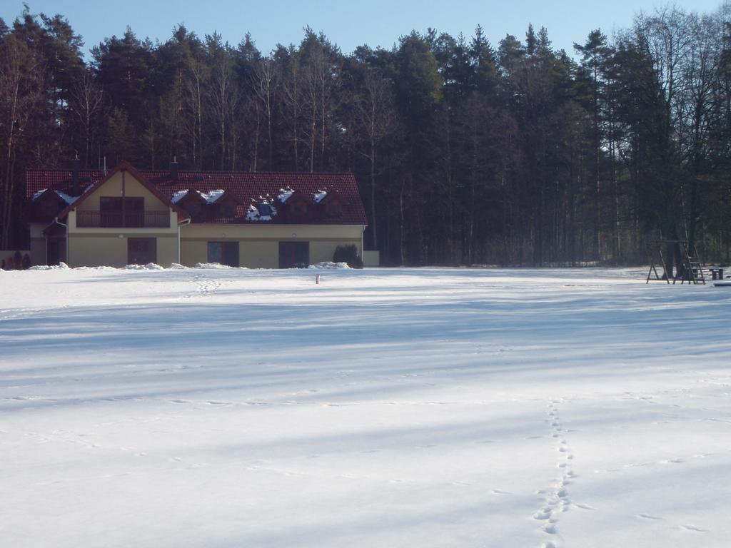 Hotel Penzion U Blatce Nové Hrady Esterno foto