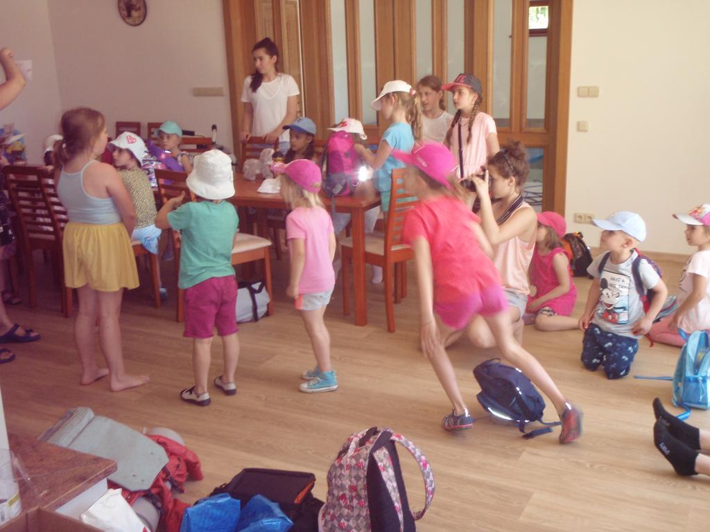 Hotel Penzion U Blatce Nové Hrady Esterno foto